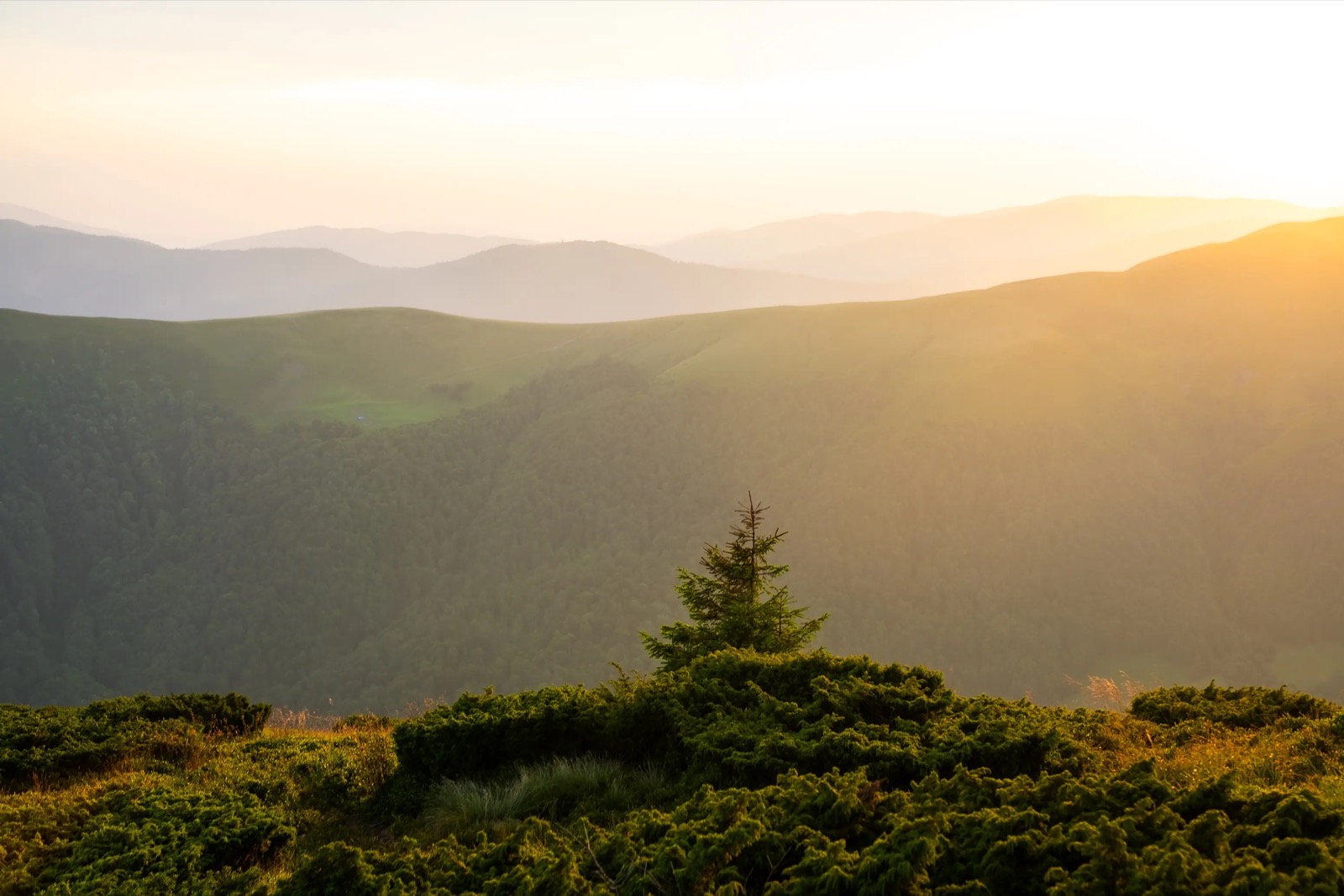 Green mountain hills, rocky foreground, and sunlit sky