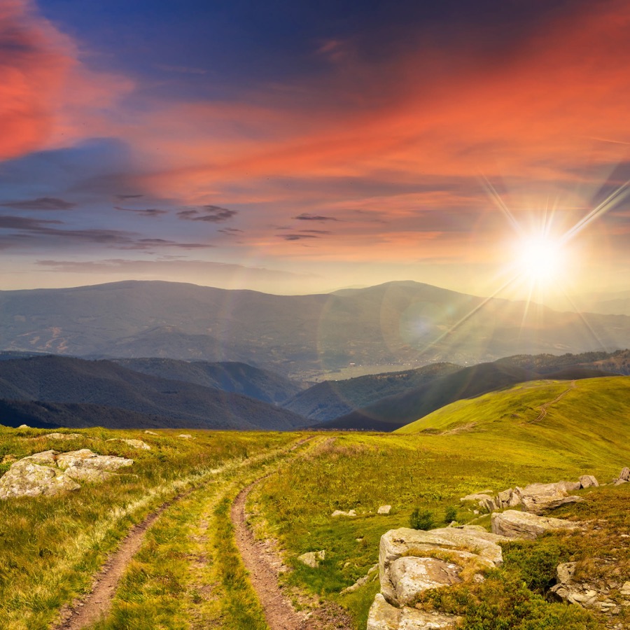 Mountain peak with wildflowers — Summit IV membership