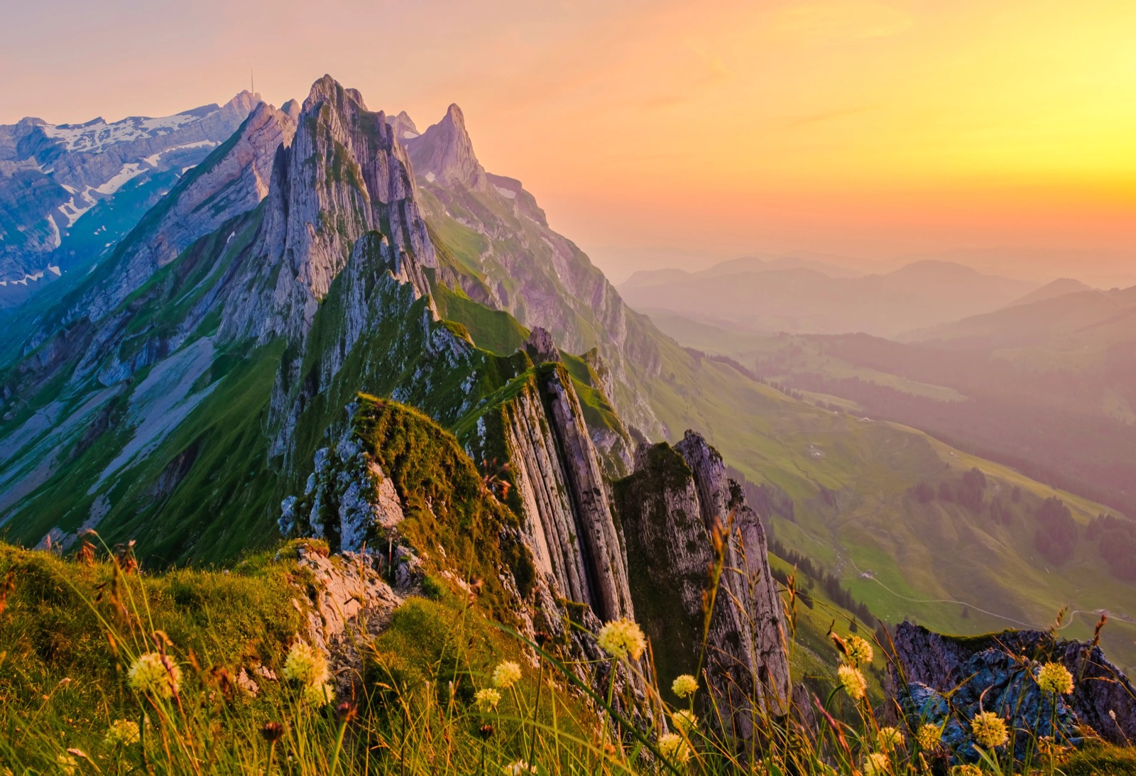 Alpine meadow and layered mountains at sunrise